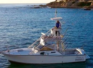 28ft superpanga charter