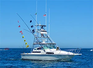 31ft boston whaler charter00