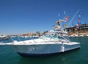31ft r sun charter00
