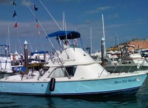 31ft rosa mar 2 00