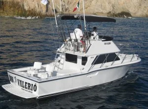31ft ya sabras charter00