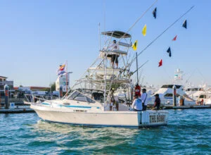 33ft the hobby charter00