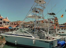 38ft bonamour charter00