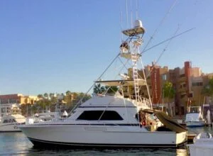 50ft rhino charter01 300x220