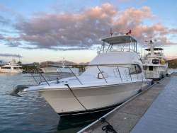 50ft vida loca san jose charter00